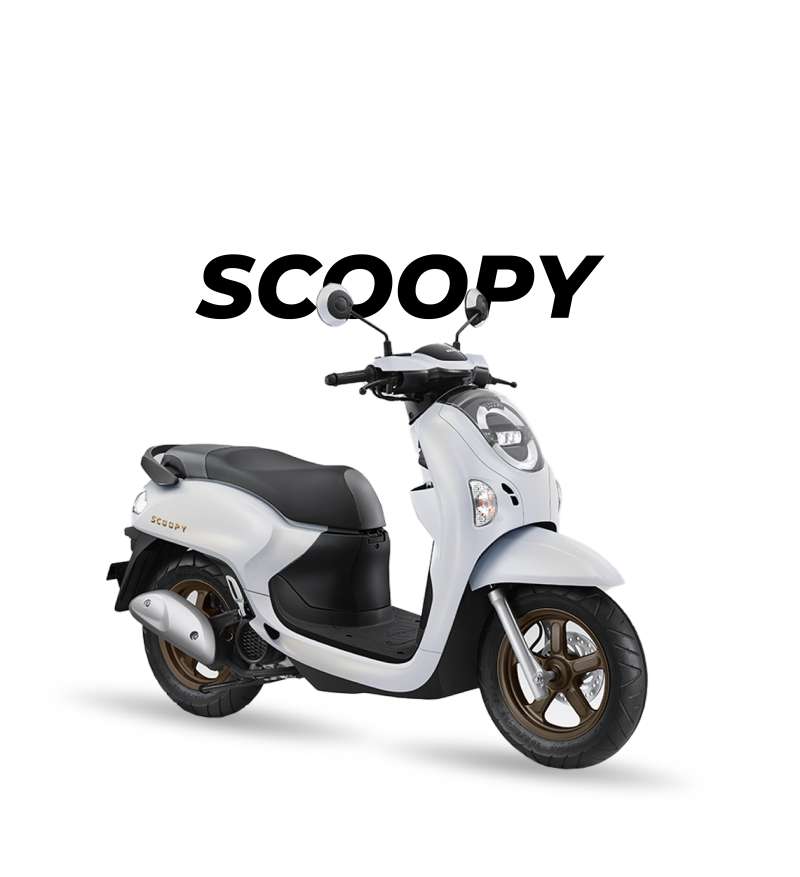 Honda Scoopy